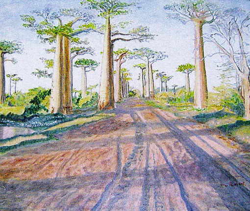 036-La forêt de baobabs-AA.jpg