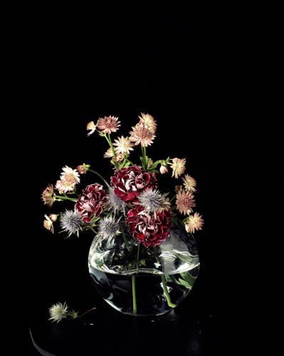 MEMENTO MORI MEMENTO MORI