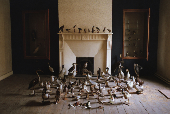 Galerie Annie Gabrielli - Montpellier Galerie Annie Gabrielli - Montpellier