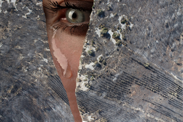 "Déshabiller la Terre"  - Laurent Schweyer - Galerie Photo des Schistes - Cabrières