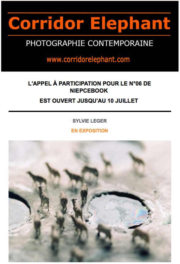 EXPOSITION SUR CORRIDOR ELEPHANT CETTE SEMAINE