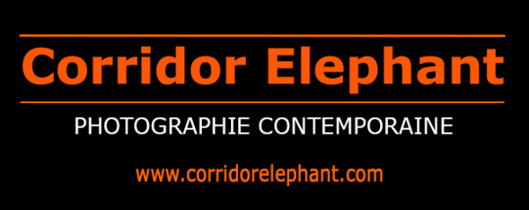 EXPOSITION SUR CORRIDOR ELEPHANT CETTE SEMAINE