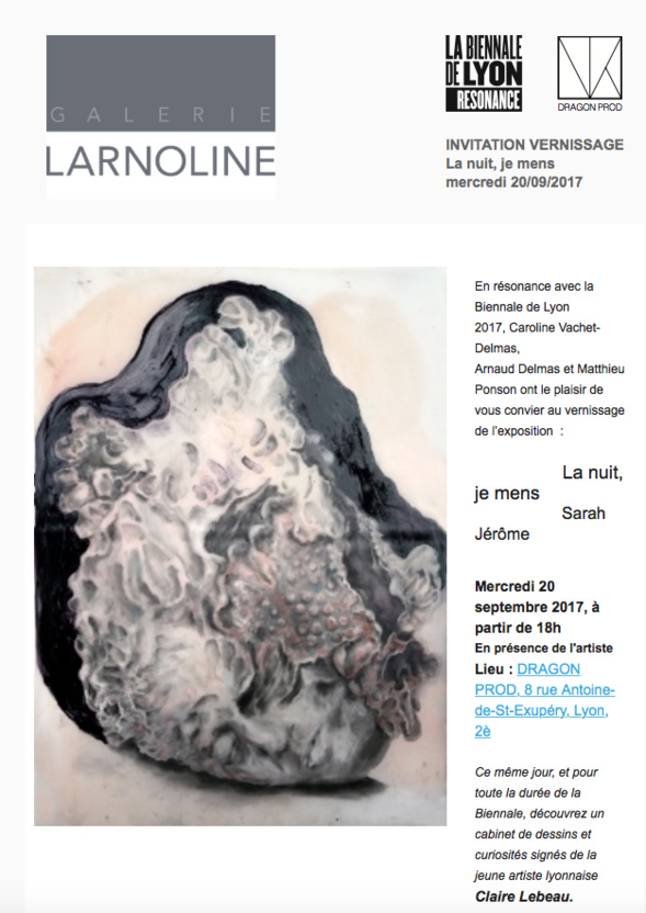La nuit, je mens, Sarah Jérôme > à la Galerie LARNOLINE - SAUVE (30610)