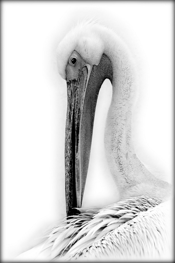 "Regards photographiques" - Galerie Photo des Schistes - Cabrières "Regards photographiques" - Galerie Photo des Schistes - Cabrières