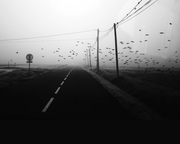 Exposition Photo - Caveau des Vignerons de Cabrières Exposition Photo - Caveau des Vignerons de Cabrières