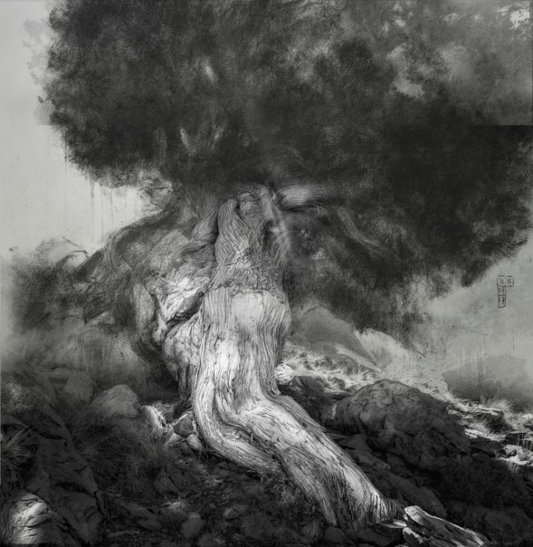 « Thurifères, gardiens du temps » - Pézenas « Thurifères, gardiens du temps » - Pézenas