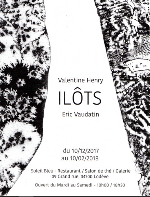 Exposition " ILOTS " au SOLEIL BLEU à LODÈVE