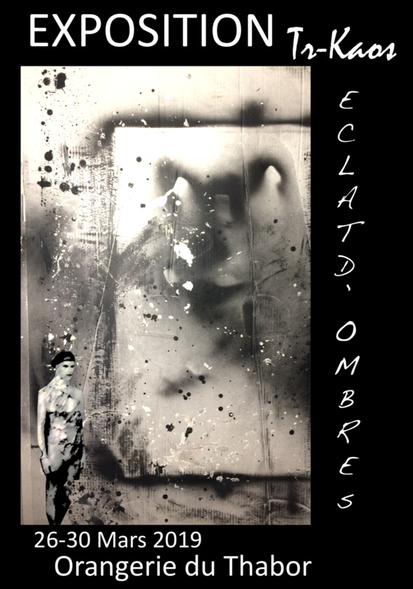 Exposition « Eclat d’ombres » à l’Orangerie du Thabor. Exposition « Eclat d’ombres » à l’Orangerie du Thabor.