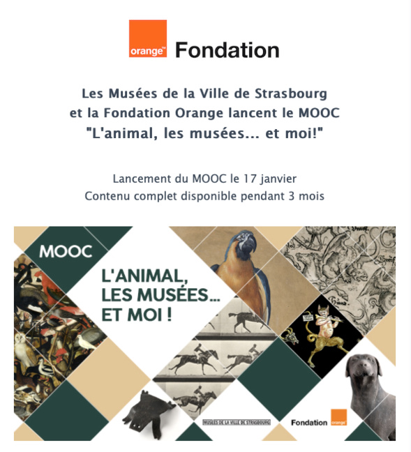 MOOC "L'animal, les musées...et moi!" - Fondation Orange