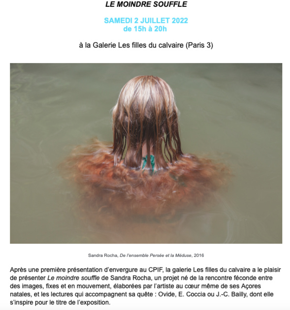 Exposition d'été à la Galerie Les filles du Calvaire | Sandra Rocha - Paris