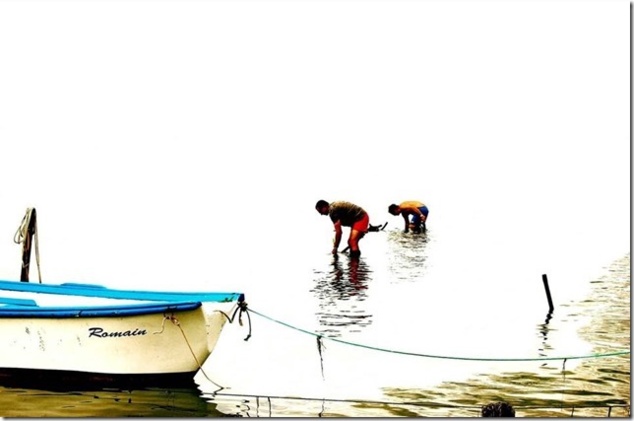 Robert Venezia expose à Bouzigues