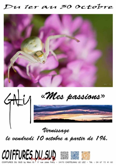 Exposition Photographique "mes Passions" de Jonathan GALY Exposition Photographique "mes Passions" de Jonathan GALY