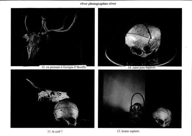 Marie Andreasz expose à Clermont-l'Hérault Marie Andreasz expose à Clermont-l'Hérault