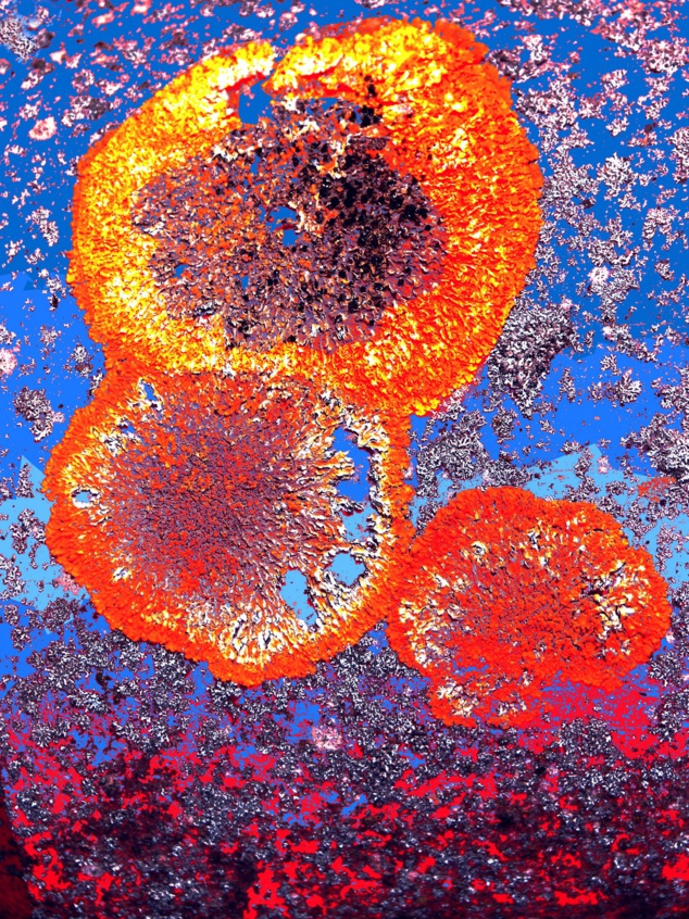 Jean-Bigas expose à Cournonsec Jean-Bigas expose à Cournonsec