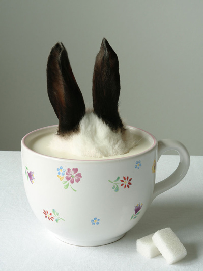 Laurence Demaison & Marc Sommer à Paris Laurence Demaison & Marc Sommer à Paris