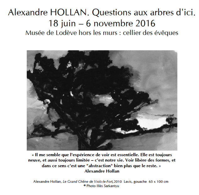 Alexandre Hollan, questions aux arbres d'ici - Musée de Lodève Alexandre Hollan, questions aux arbres d'ici - Musée de Lodève