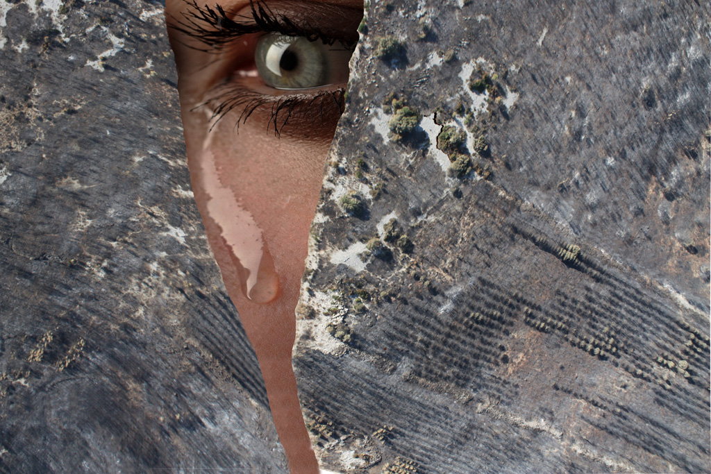 "Déshabiller la Terre"  - Laurent Schweyer - Galerie Photo des Schistes - Cabrières