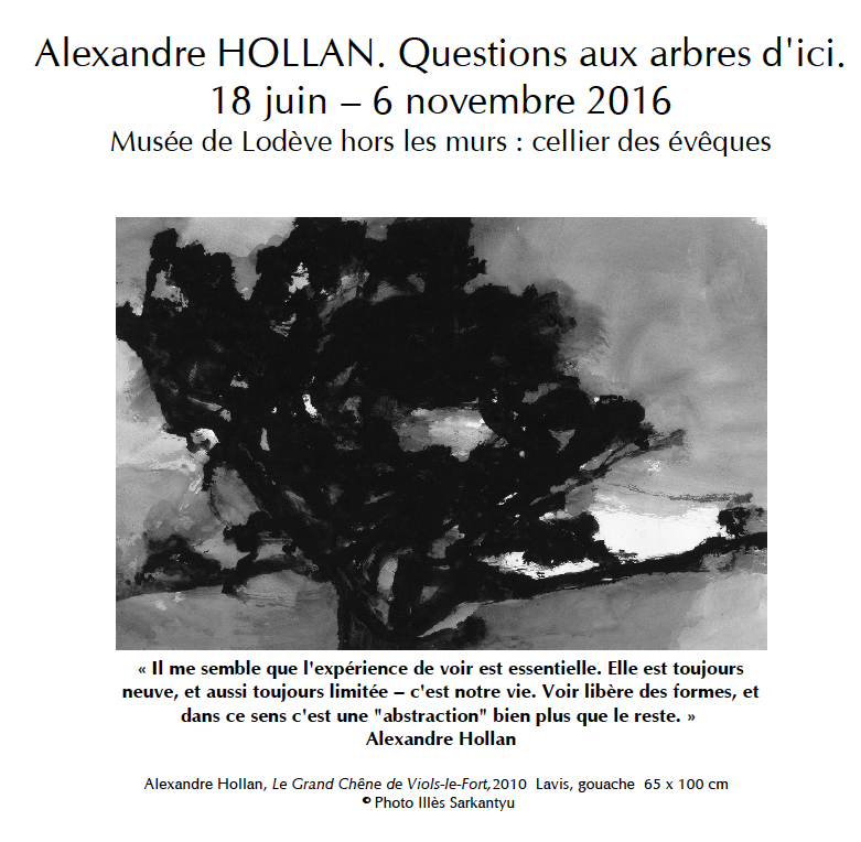 Alexandre Hollan, questions aux arbres d'ici - Musée de Lodève
