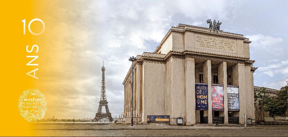 Le Musée de l'Homme fête les 10 ans de sa réouverture !