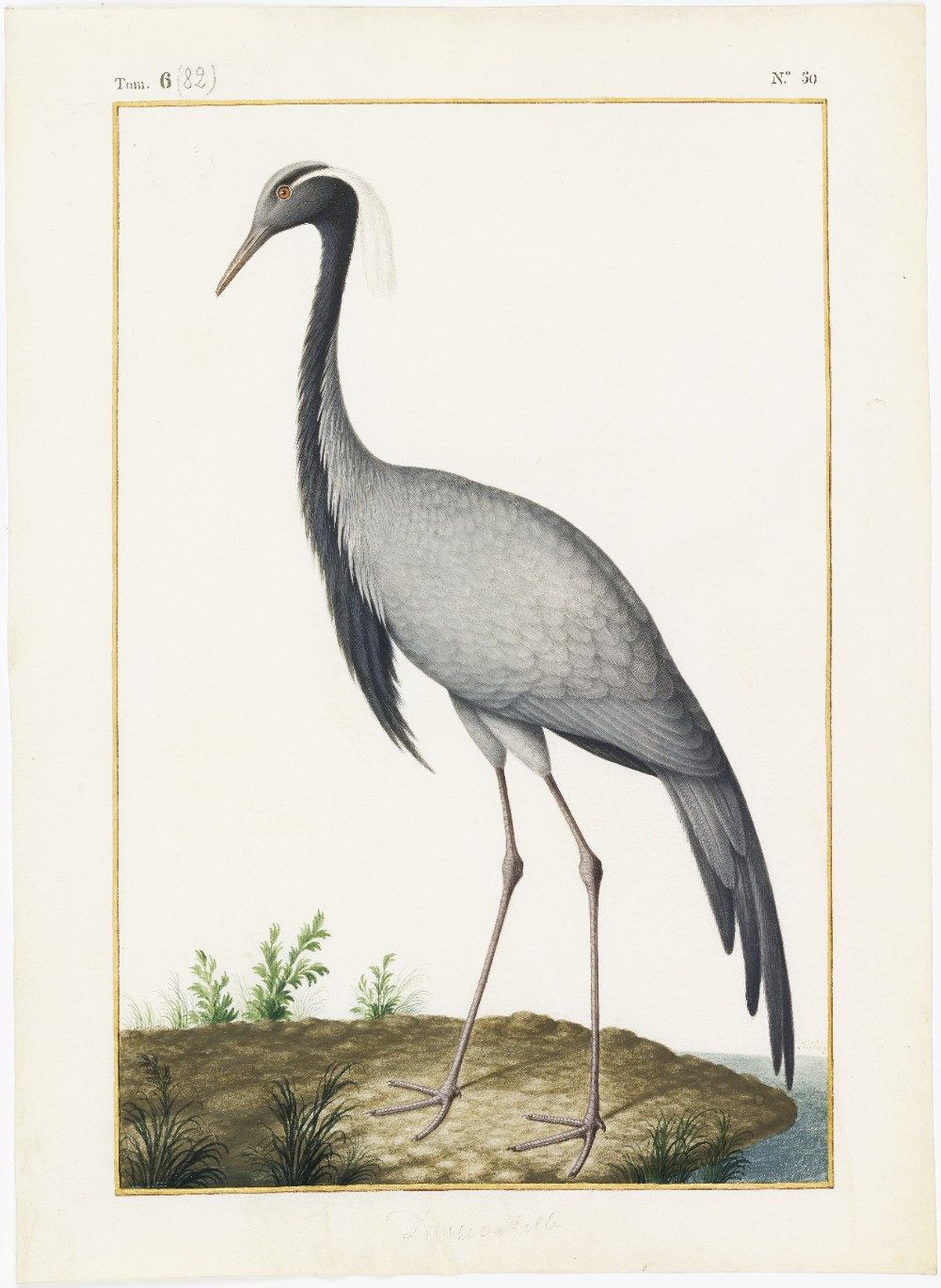 Exposition "Artistes au Muséum" au Muséum national d'Histoire naturelle - Paris