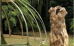 Le Land Art investit la bambouseraie d'Anduze