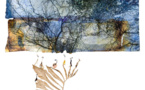 Expo Baillarguet "Portrait Nature" - Montferrier-sur-Lez