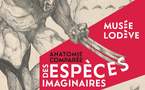 Exposition au Musée de Lodève