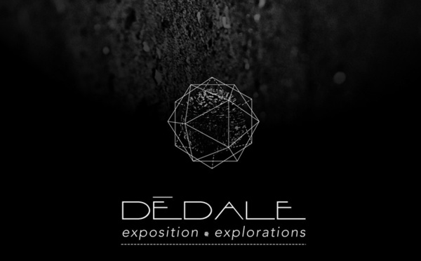 Exposition Dédale - Lyon