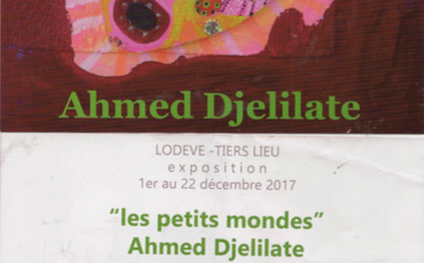 Tiers Lieu à LODÈVE , Exposition d'Ahmed DJELILATE " les petits mondes "