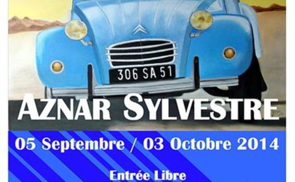 Sylvestre AZNAR expose à Maraussan 
