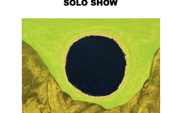 GALERIE DEROUILLON - STD ALEX FOXTON - paris