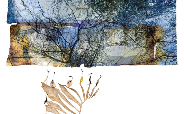 Expo Baillarguet "Portrait Nature" - Montferrier-sur-Lez