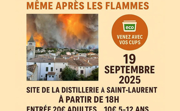 Galerie de la Cabrerisse - Après l’incendie d'Anna Camille