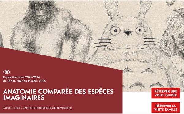 Exposition - Anatomie comparée des espèces imaginaires - Musée de Lodève