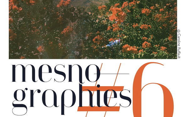 MESNOGRAPHIES, festival photo - Mesnuls (78)