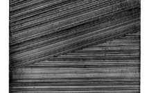 LES DERNIERS SOULAGES. 2010-2022