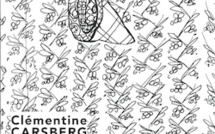 "À ciel ouvert" de Clémentine Carsberg - Millau