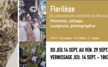 Centre Culturel des Mazades  - Toulouse