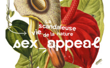 Exposition SEX-APPEAL - La scandaleuse vie de la nature - MUSEUM DE TOULOUSE