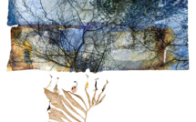 Expo Baillarguet "Portrait Nature" - Montferrier-sur-Lez