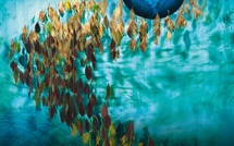 EXPOSITION « ENFANTS de GAÏA » - Balaruc-les-Bains