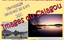 Exposition au Caveau de Cabrières - 34800