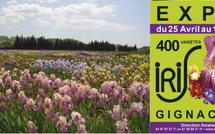 Exposition d'iris - Gignac
