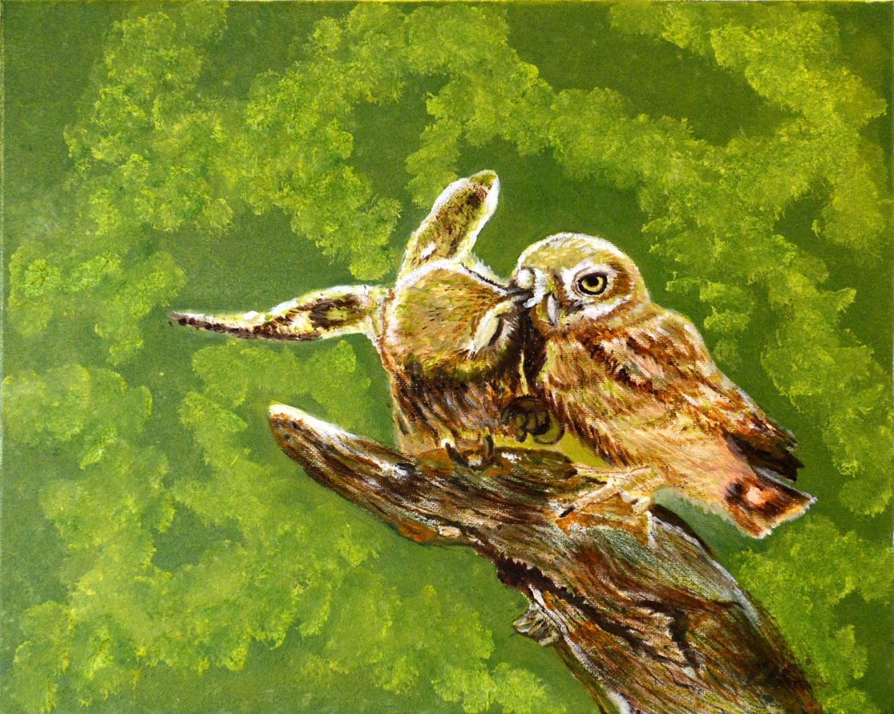 116 - La becquet de la chouette chevêche - Eliane CIANNI - A 116 - La becquet de la chouette chevêche - Eliane CIANNI - A