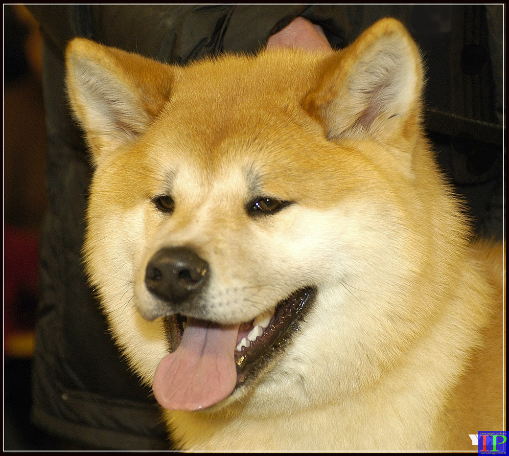 055-019-Montpellier-BB.jpg 055-019-Montpellier-BB.jpg