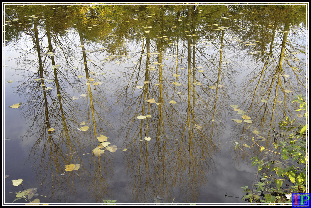 002-Reflets d'automne-BB.jpg 002-Reflets d'automne-BB.jpg