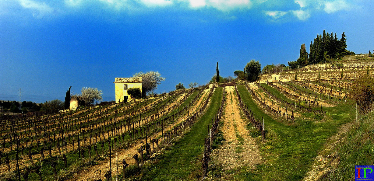 043-009-Paysage-B.jpg 043-009-Paysage-B.jpg