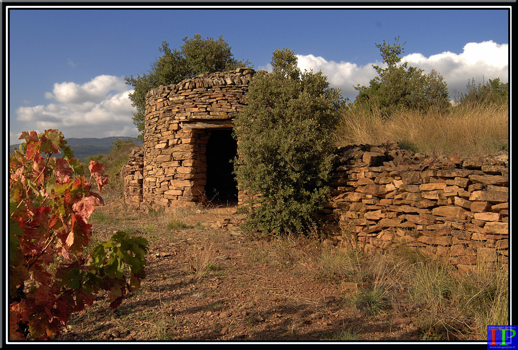 078-Capitelle-BB.jpg 078-Capitelle-BB.jpg