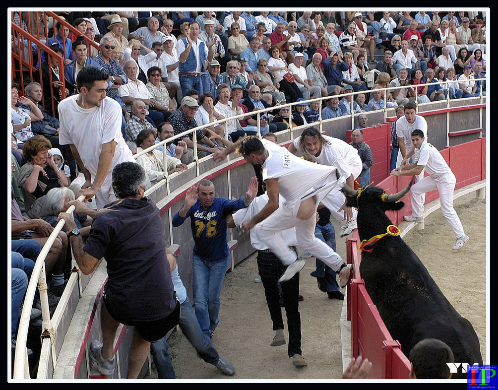 001-Course camarguaise-BB.jpg 001-Course camarguaise-BB.jpg