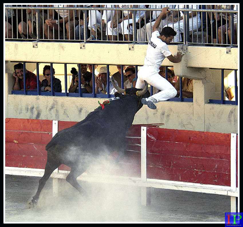 001-Le Grau-BB.jpg 001-Le Grau-BB.jpg